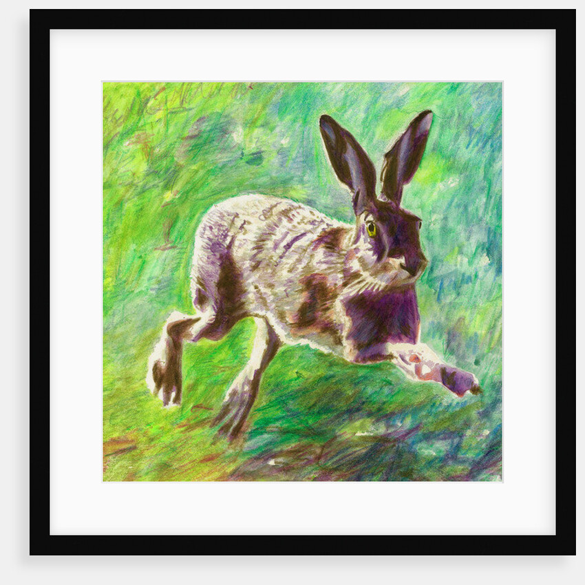 Joyful Hare, 2011 by Helen White