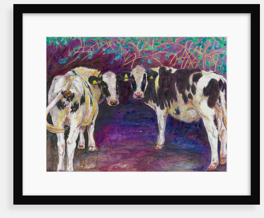 Sheltering Cows, 2011 by Helen White