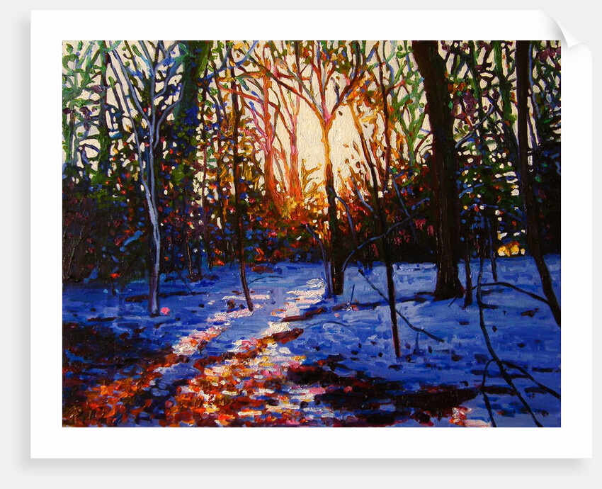 Sunset on Snow, 2010 by Helen White