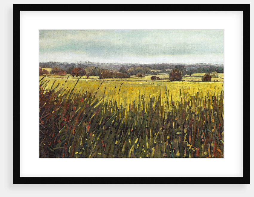 Towards Riseley, 2012 by Helen White