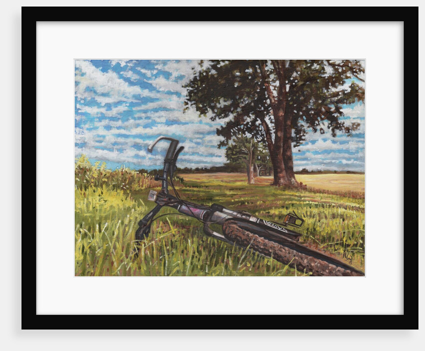 It's a Lovely Day for a Bike Ride, 2013 by Helen White