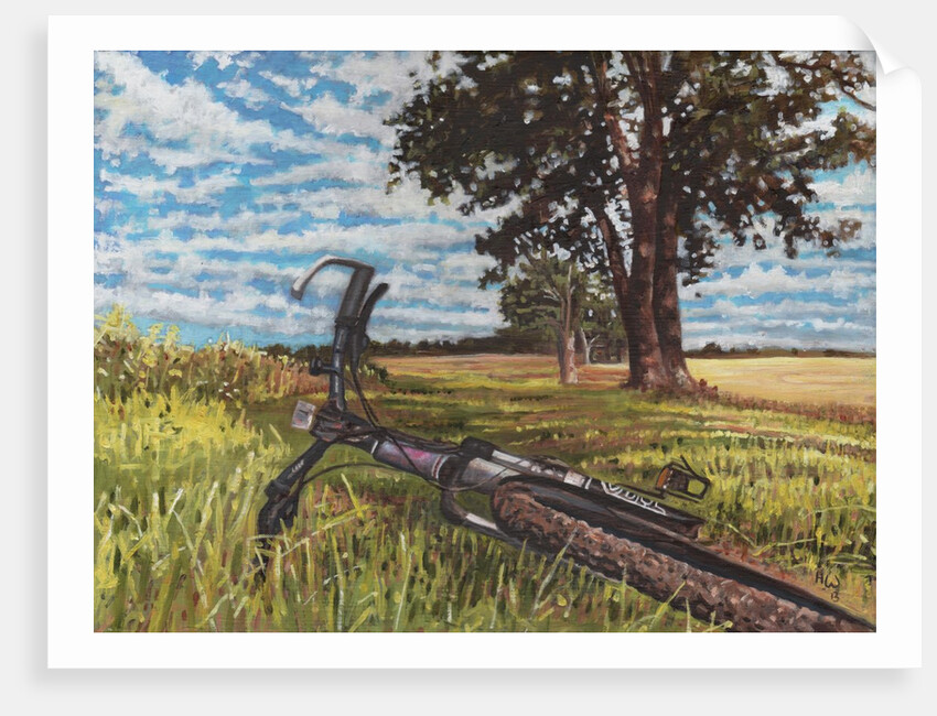 It's a Lovely Day for a Bike Ride, 2013 by Helen White