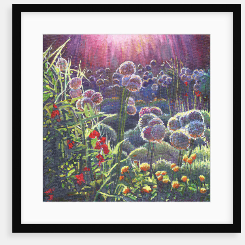 Incandescence, 2013 by Helen White