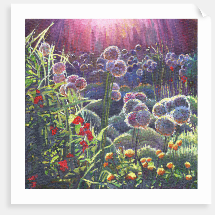 Incandescence, 2013 by Helen White