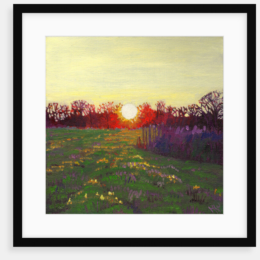 Path of Light, 2013 by Helen White