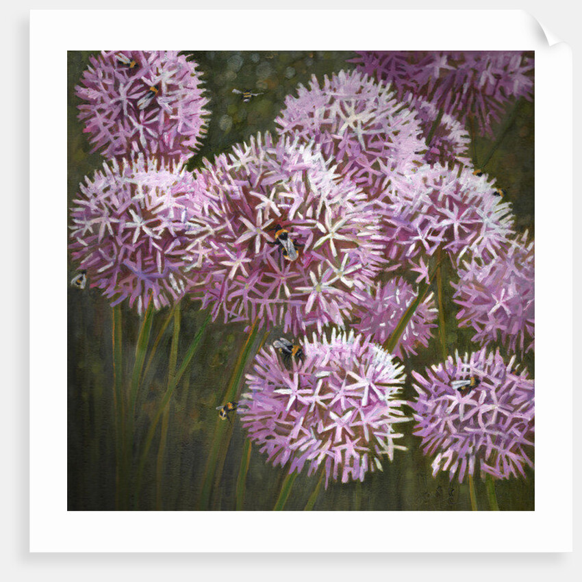 Summer Bees, 2014 by Helen White