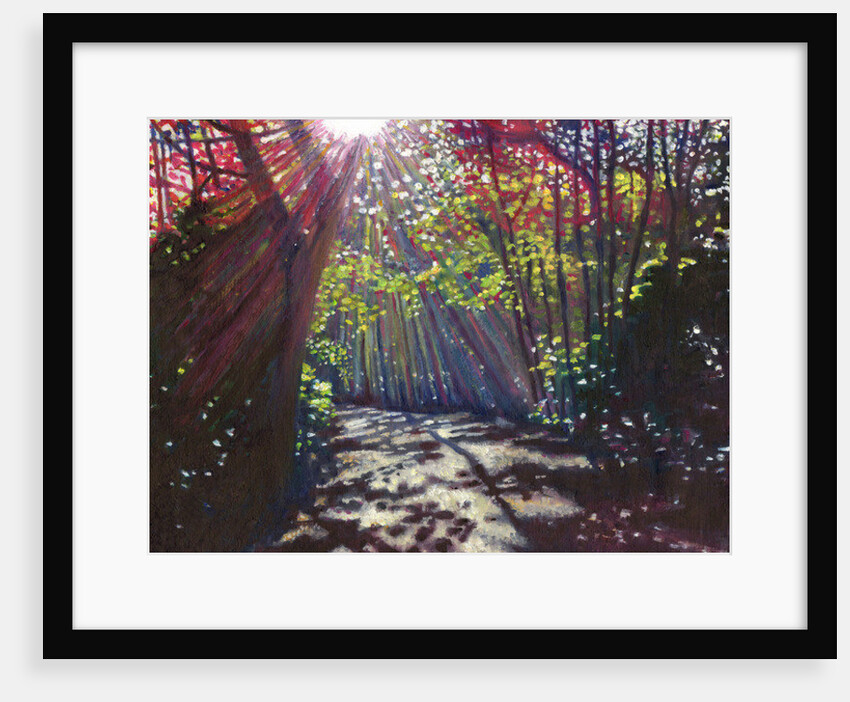 Scattered Light, 2013 by Helen White