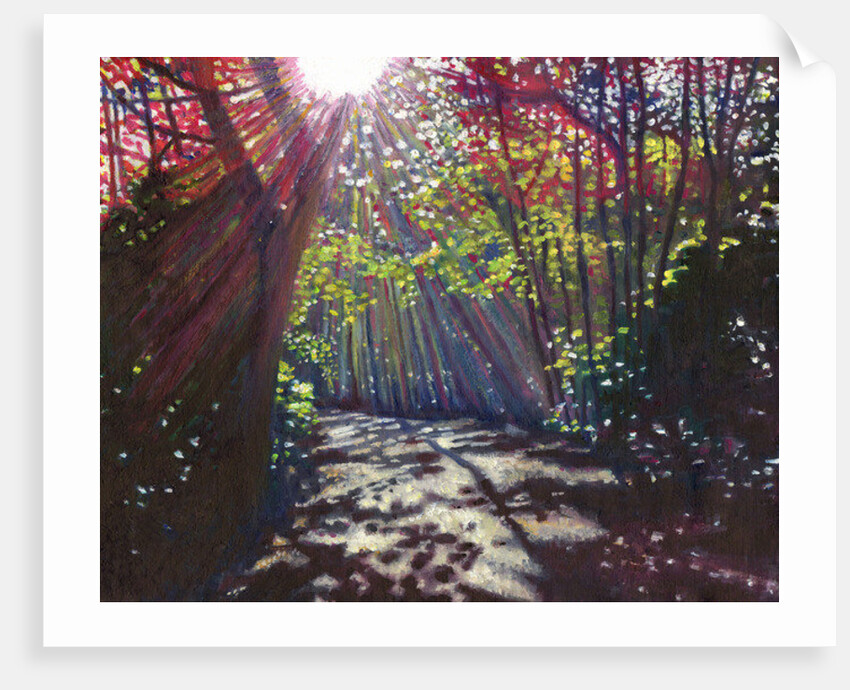 Scattered Light, 2013 by Helen White