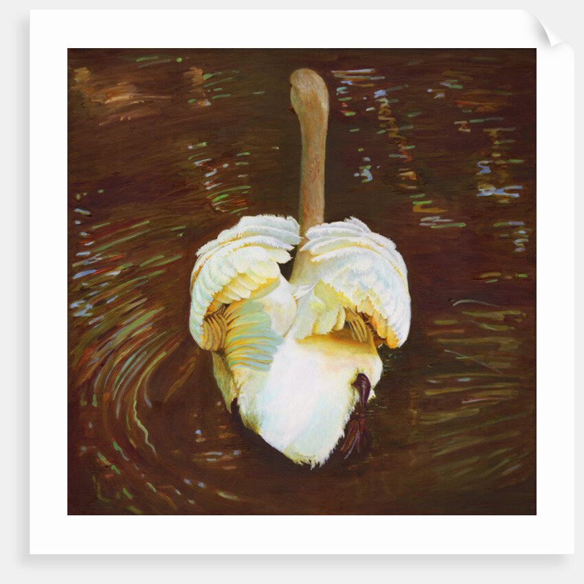 Grace, 2014 by Helen White