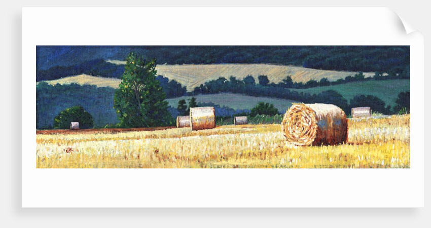 Haybales on Hillside, 2012, by Helen White