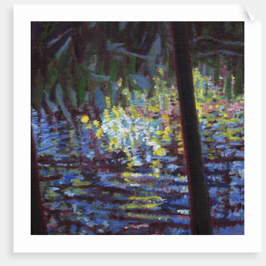 Giverny V, 2014 by Helen White