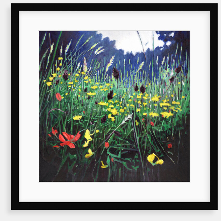 Meadow Glory, 2015 by Helen White