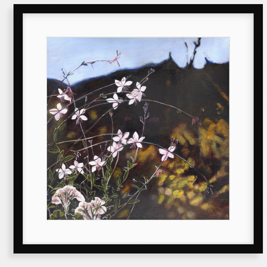 Provencal garden I by Helen White