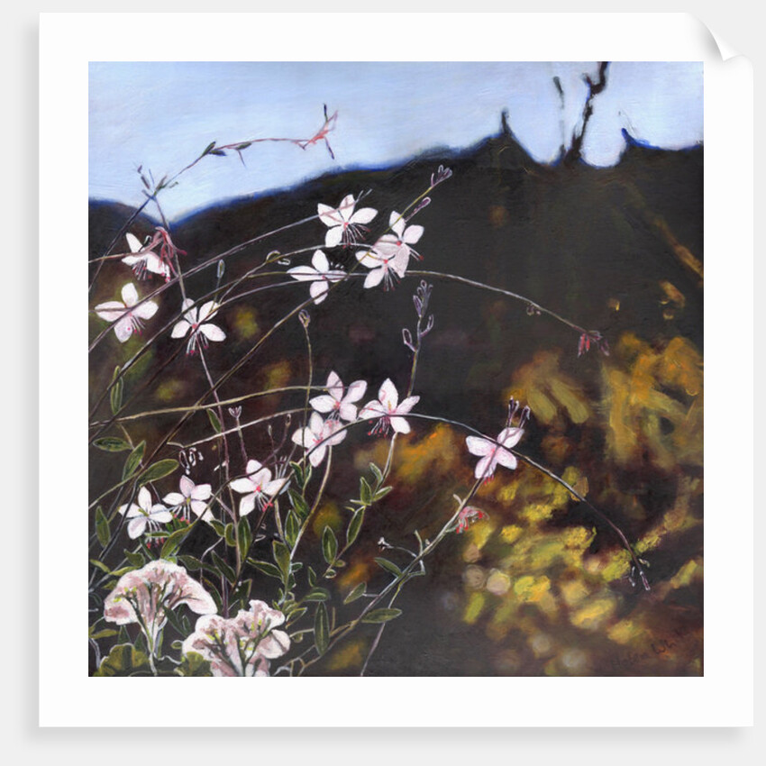 Provencal garden I by Helen White