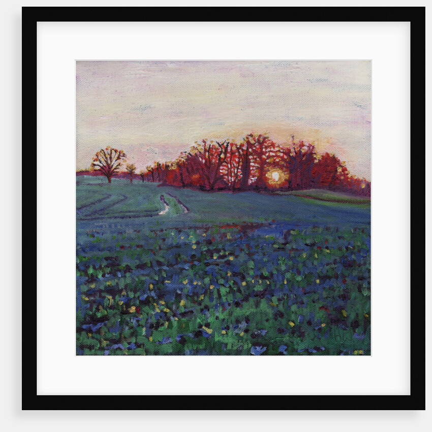 Sun greets the earth by Helen White