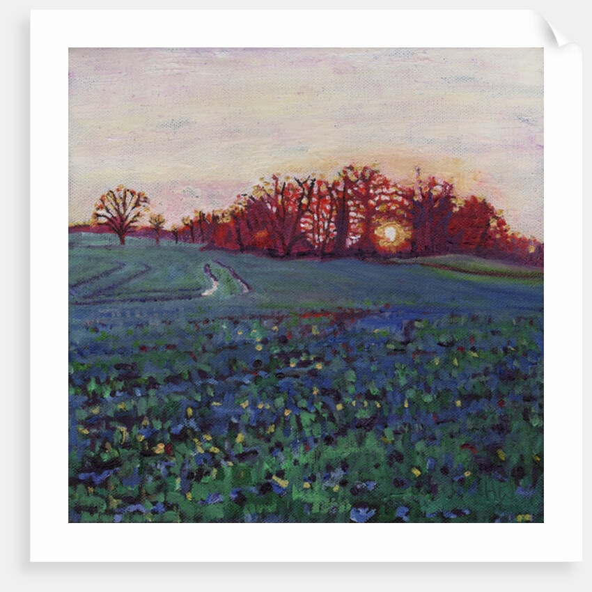 Sun greets the earth by Helen White