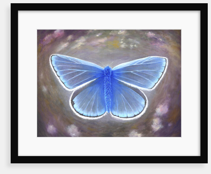 Uncommon Blue, 2015 by Helen White