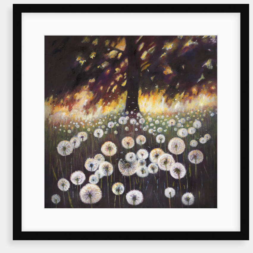 Field of Dreams, 2015, by Helen White