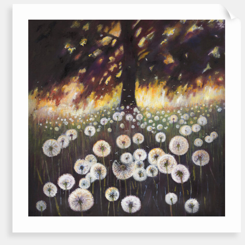 Field of Dreams, 2015, by Helen White