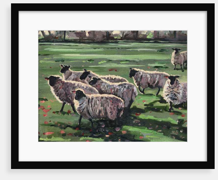 Curious Flock II, 2009 by Helen White