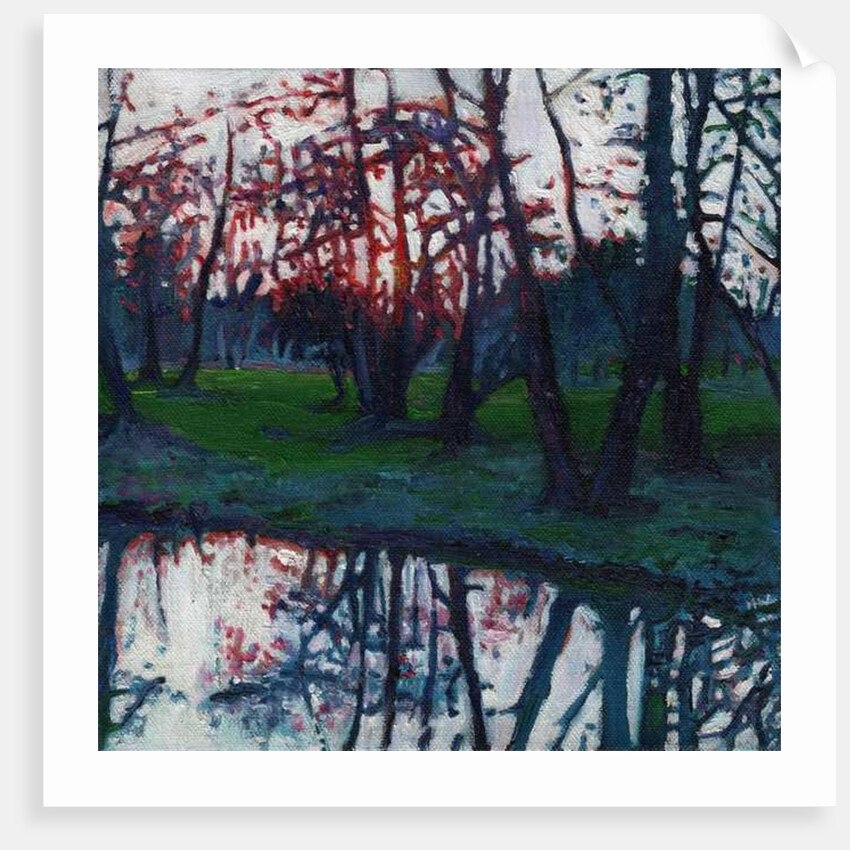 Last Glow on the Meadow, 2009 by Helen White