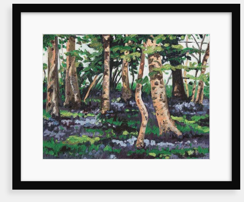 Bluebell Wood, 2009 by Helen White