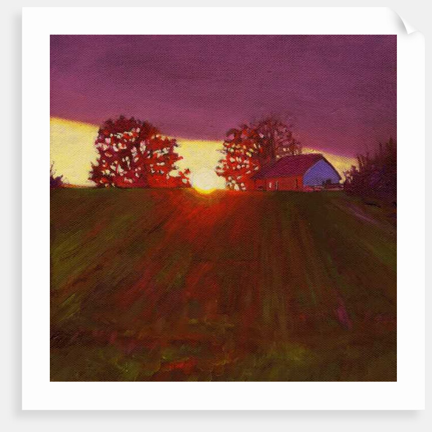 Between Trees, 2013 by Helen White