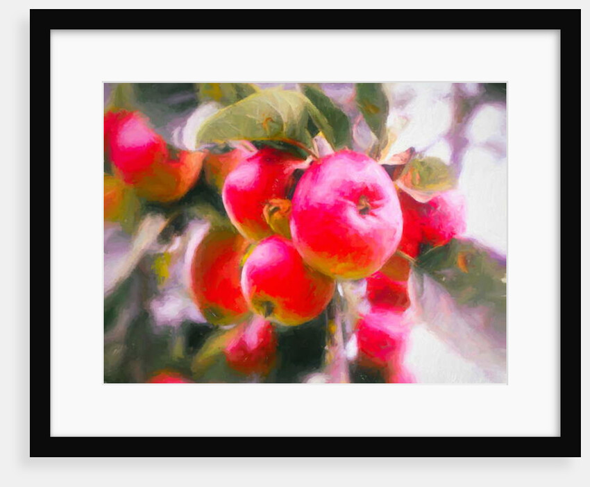 Fruit of Life, 2018 by Helen White