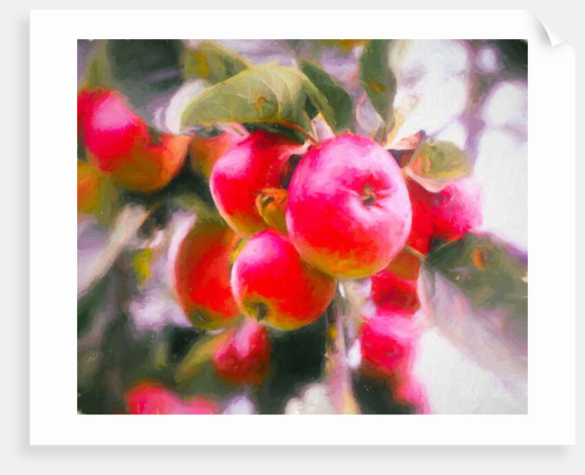 Fruit of Life, 2018 by Helen White