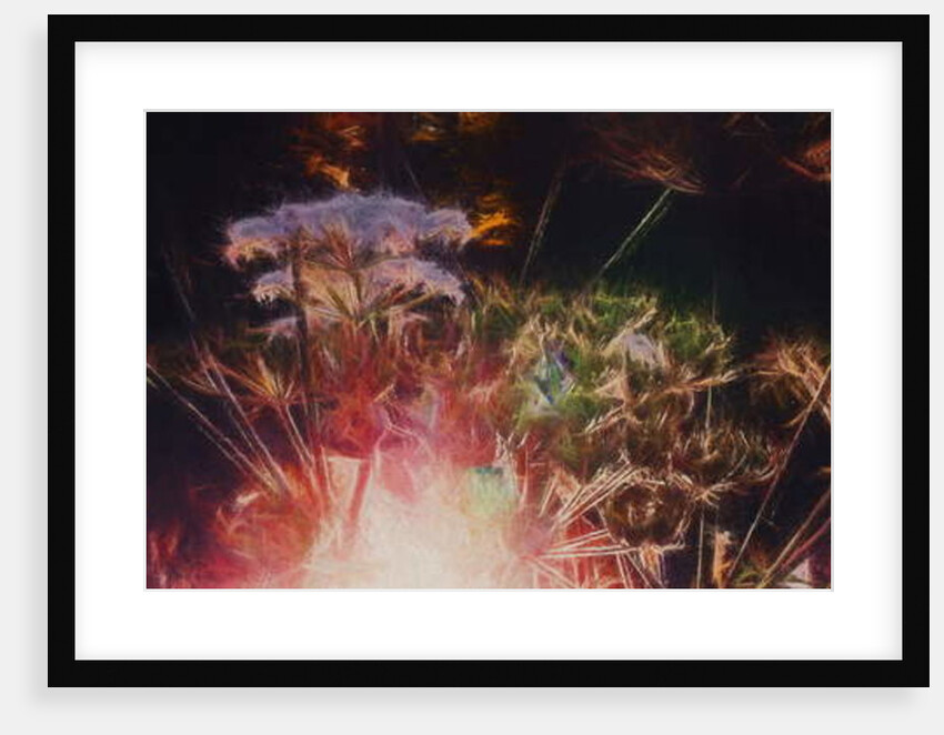 Radiant Hedgerow, 2018 by Helen White