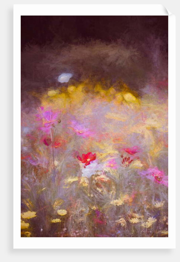 Meadow, 2018 by Helen White