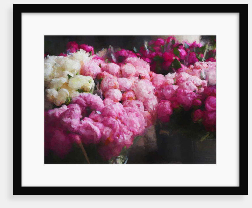 Peony Season, 2018 by Helen White