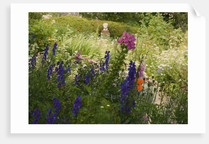 Summer Abundance, 2018 by Helen White