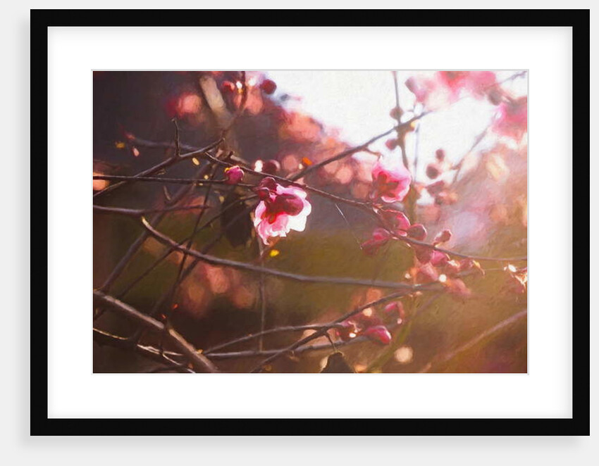 First Light of Spring, 2018 by Helen White