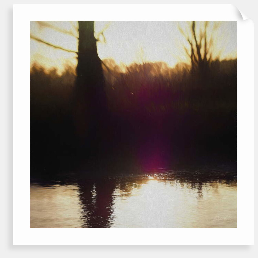 Violet Haze, 2018 by Helen White