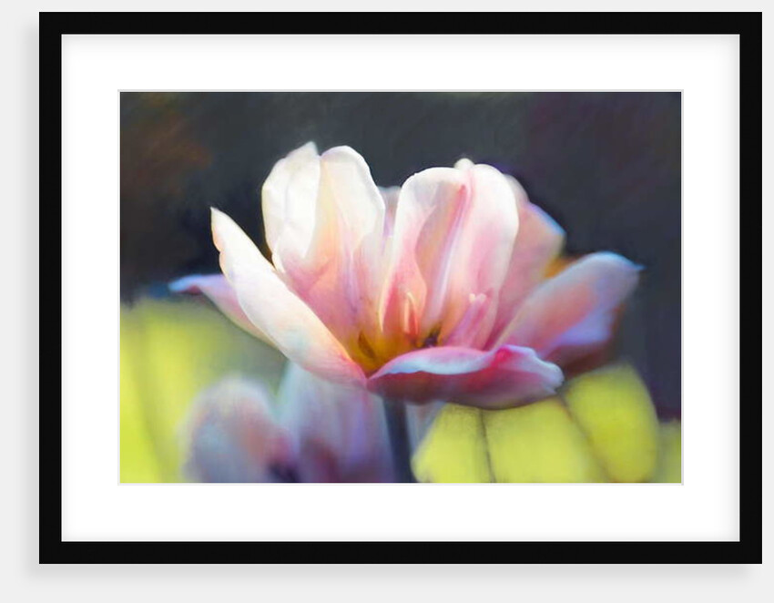 Emergence III, 2018 by Helen White