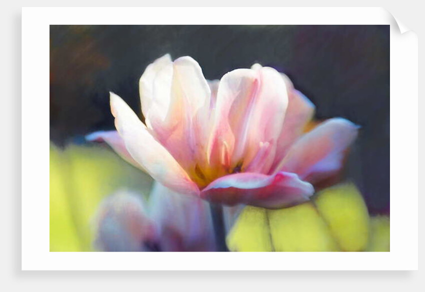 Emergence III, 2018 by Helen White