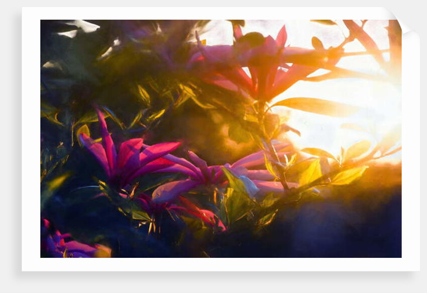 Last Golden Moment, 2018 by Helen White