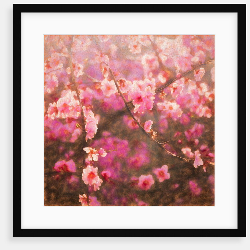 Spring Sprung; 2018 by Helen White
