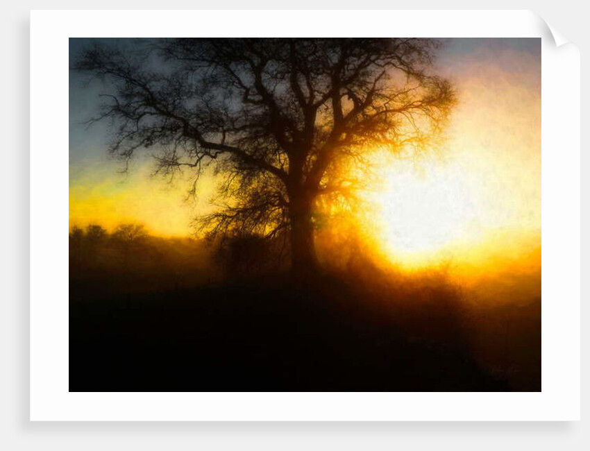 Molten Moment, 2018 by Helen White