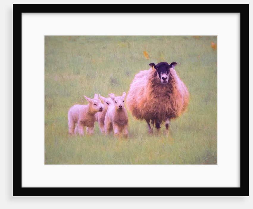 Triplets, 2018 by Helen White