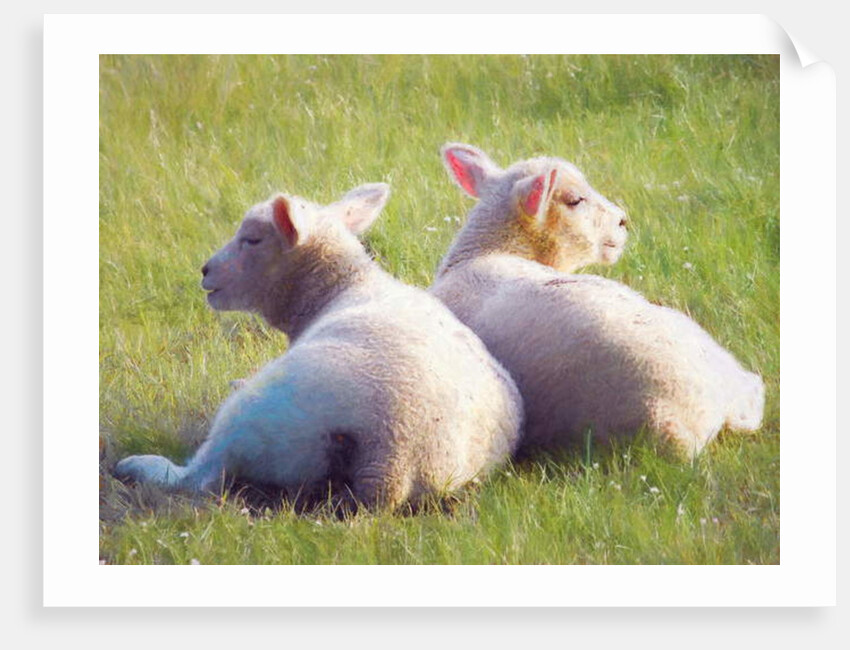 Twins, 2018 by Helen White