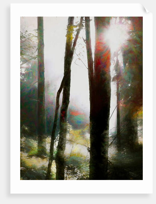 Dare to Believe, 2018 by Helen White