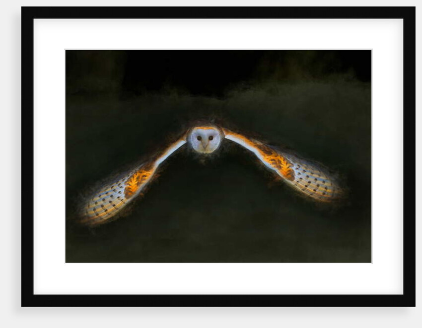 Night Flight, 2018 by Helen White