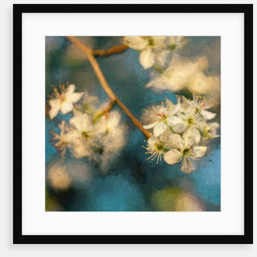 Apple Blossom, 2019 by Helen White