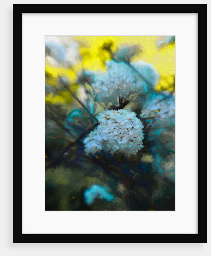 Blooming Maytime, 2019 by Helen White