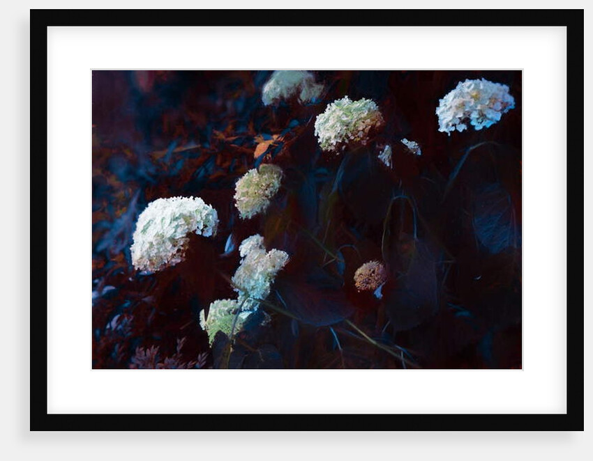 In the Pale Moonlight, 2019 by Helen White