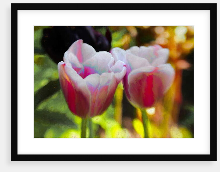 Lit Up Inside, 2019, by Helen White