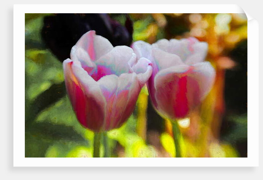 Lit Up Inside, 2019, by Helen White