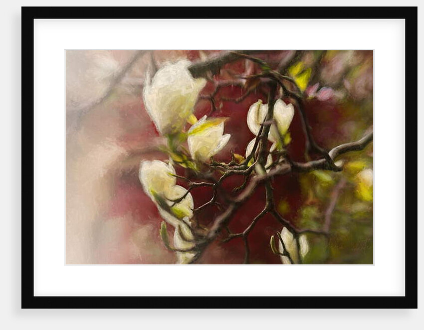 Magnolia, 2018 by Helen White